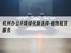 杭州办公环境绿化新选择-植物租赁服务