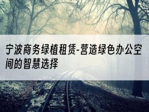 宁波商务绿植租赁-营造绿色办公空间的智慧选择