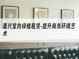 嘉兴室内绿植租赁-提升商务环境艺术