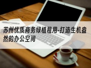 苏州优质商务绿植租用-打造生机盎然的办公空间