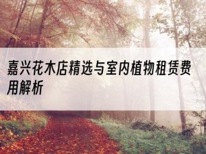 嘉兴花木店精选与室内植物租赁费用解析