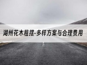 湖州花木租摆-多样方案与合理费用