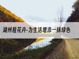 湖州租花卉-为生活增添一抹绿色