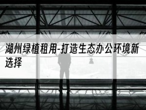 湖州绿植租用-打造生态办公环境新选择