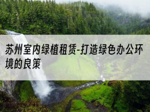 苏州室内绿植租赁-打造绿色办公环境的良策