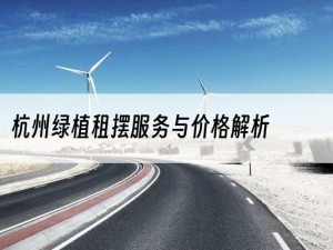 杭州绿植租摆服务与价格解析