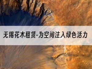 无锡花木租赁-为空间注入绿色活力