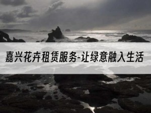 嘉兴花卉租赁服务-让绿意融入生活