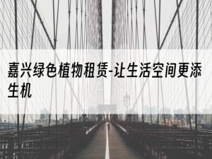 嘉兴绿色植物租赁-让生活空间更添生机