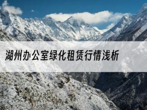 湖州办公室绿化租赁行情浅析