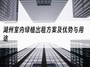 湖州室内绿植出租方案及优势与用途