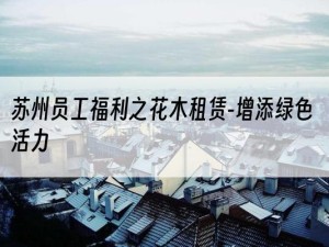 苏州员工福利之花木租赁-增添绿色活力