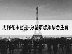 无锡花木租摆-为城市增添绿色生机