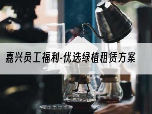 嘉兴员工福利-优选绿植租赁方案