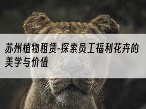 苏州植物租赁-探索员工福利花卉的美学与价值