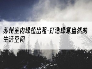 苏州室内绿植出租-打造绿意盎然的生活空间