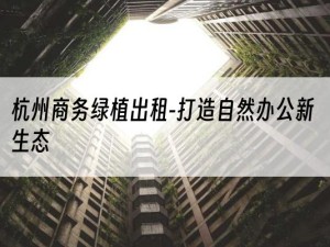 杭州商务绿植出租-打造自然办公新生态