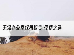 无锡办公室绿植租赁-便捷之选