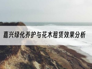 嘉兴绿化养护与花木租赁效果分析