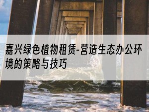 嘉兴绿色植物租赁-营造生态办公环境的策略与技巧