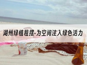 湖州绿植租摆-为空间注入绿色活力