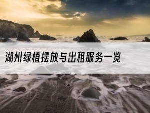 湖州绿植摆放与出租服务一览