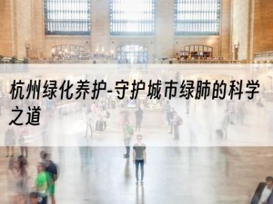 杭州绿化养护-守护城市绿肺的科学之道