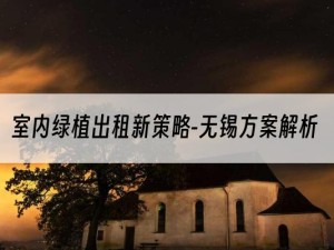 室内绿植出租新策略-无锡方案解析