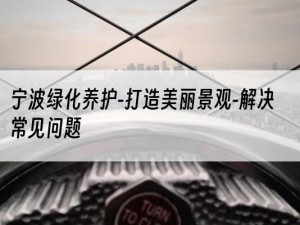 宁波绿化养护-打造美丽景观-解决常见问题