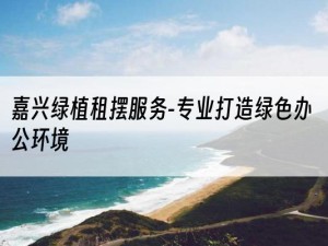 嘉兴绿植租摆服务-专业打造绿色办公环境