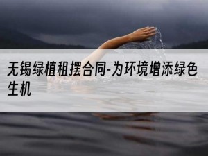 无锡绿植租摆合同-为环境增添绿色生机