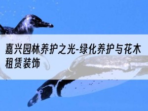 嘉兴园林养护之光-绿化养护与花木租赁装饰