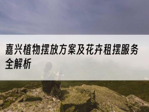 嘉兴植物摆放方案及花卉租摆服务全解析