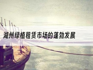 湖州绿植租赁市场的蓬勃发展