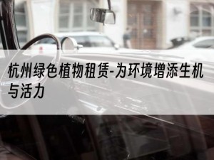 杭州绿色植物租赁-为环境增添生机与活力