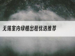 无锡室内绿植出租优选推荐