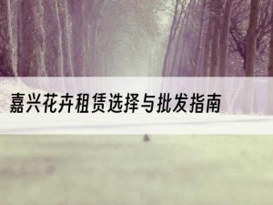 嘉兴花卉租赁选择与批发指南