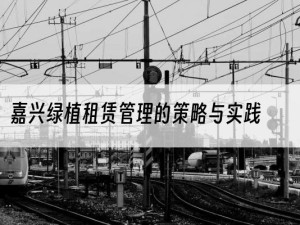 嘉兴绿植租赁管理的策略与实践