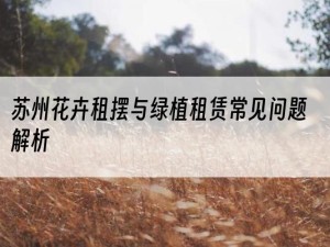 苏州花卉租摆与绿植租赁常见问题解析