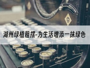 湖州绿植租摆-为生活增添一抹绿色