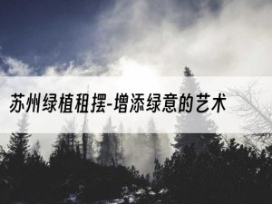 苏州绿植租摆-增添绿意的艺术