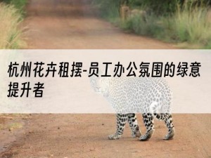 杭州花卉租摆-员工办公氛围的绿意提升者