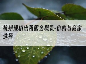 杭州绿植出租服务概览-价格与商家选择