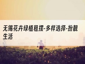 无锡花卉绿植租摆-多样选择-扮靓生活