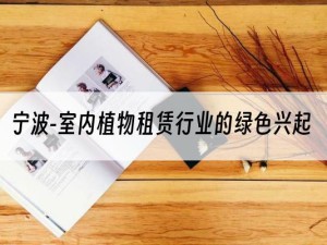 宁波-室内植物租赁行业的绿色兴起
