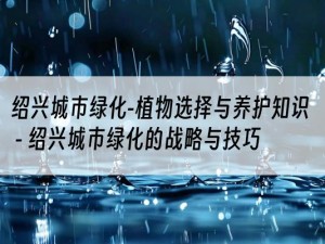 绍兴城市绿化-植物选择与养护知识 - 绍兴城市绿化的战略与技巧