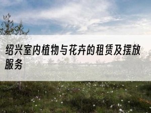 绍兴室内植物与花卉的租赁及摆放服务