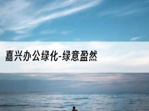 嘉兴办公绿化-绿意盈然