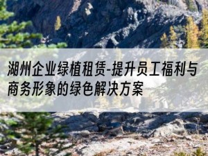 湖州企业绿植租赁-提升员工福利与商务形象的绿色解决方案