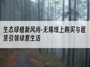 生态绿植新风尚-无锡线上购买与租赁引领绿意生活